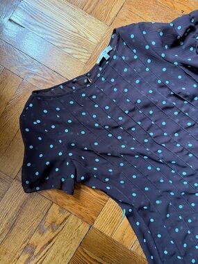 Vintage Sheer Polka Dot Ruffle Hem Women's Dress - Brown with Blue Dots